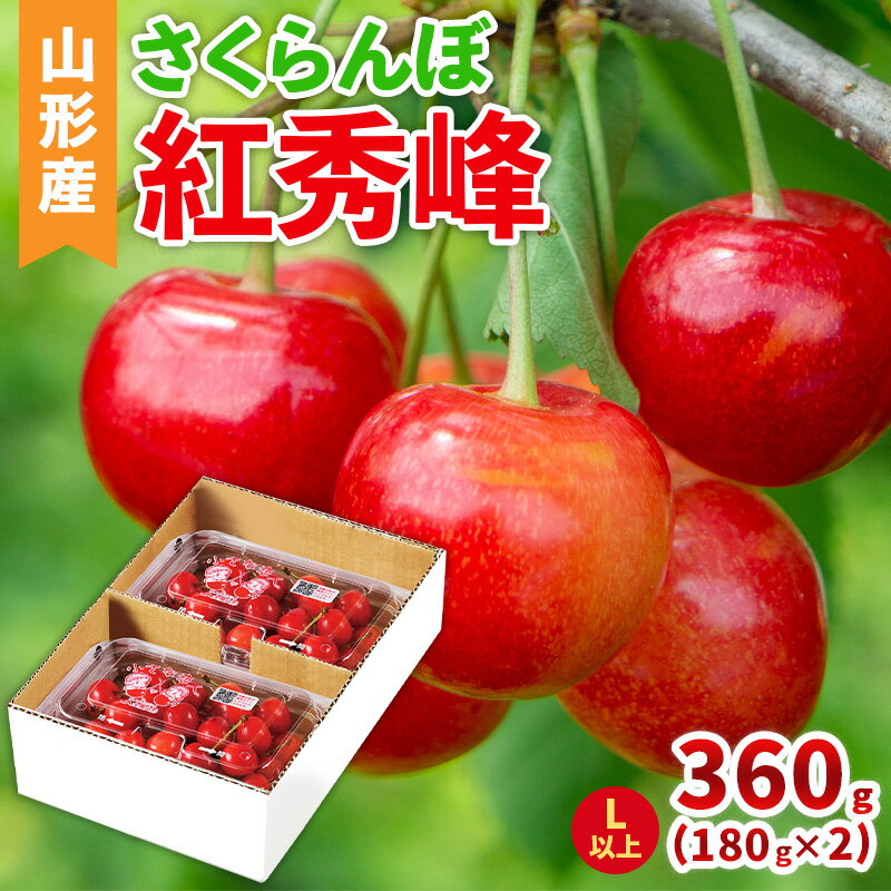 【ふるさと納税】山形産 さくらんぼ(紅秀峰) L以上 360g(180g×2パック) 【令和8年産先行予約】FS25-040