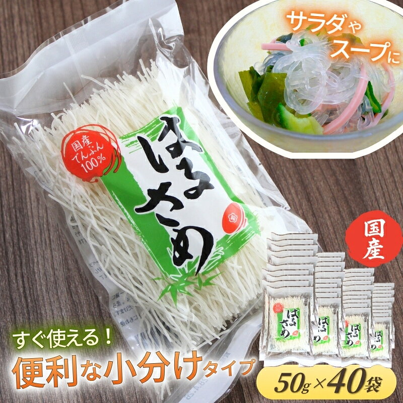 【ふるさと納税】国産はるさめ 50g×40袋入り ／ 金正食品 春雨 無添加 個包装 特産品 奈良県 御所市