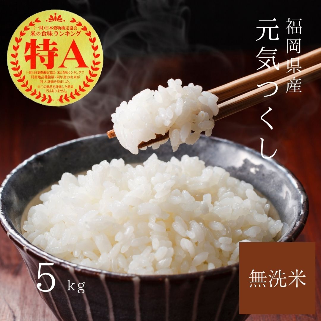 【先行予約】【令和7年産】福岡県産ブランド米「元気つくし」無洗米5kg 吉富町/株式会社ゼロプラス [BGAA091]