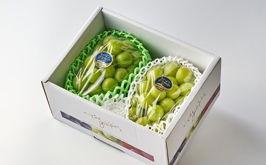 2026年先行予約　岡山県産シャインマスカット1.3kg(2房)【配送不可地域：離島】【1615817】