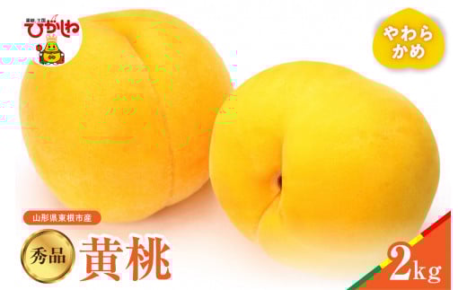 【2026年産】黄桃 品種おまかせ 秀品2kg(やわらかめ) 松栗提供 山形県 東根市 hi062-062