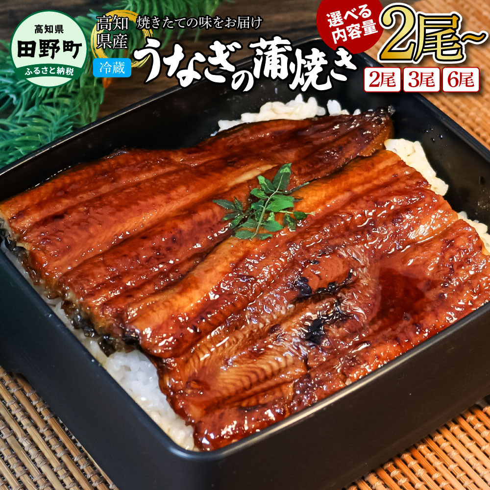 
～四国一小さなまち～ ヤマシン特選うなぎの蒲焼き 2尾 3尾 6尾（特製タレ付き）130g×2尾 130g×3尾 130g×6尾 うなぎ 鰻 ウナギ 国産 高知県産 6尾 蒲焼 かばやき 特製タレ 冷蔵 配送
