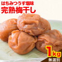 【ふるさと納税】紀州南高梅使用 はちみつうす塩味完熟梅干し 無選別1kg 厳選館 《90日以内に出荷(土日祝除く)》 和歌山県 日高川町 紀州南高梅 はちみつうす塩 梅干し