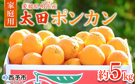 【先行予約】＜太田ポンカン 家庭用 約5kg＞ 果物 くだもの フルーツ みかん ミカン 柑橘 太田ぽんかん おおたぽんかん オオタポンカン ぽんかん 訳あり ご自宅用 特産品 株式会社笑丸 愛媛県 西予市【常温】『2027年1月中旬～1月下旬迄に順次出荷予定』AAN0054