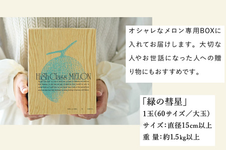 010HS01N. 感動メロン「緑の彗星」1玉／ 果物 フルーツ メロン お取り寄せ 旬