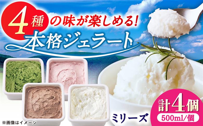 本格ジェラート ファミリーセット 500ml×4個 / アイスクリーム / 佐賀県 / 松本アイス工房 [41AOAA004]