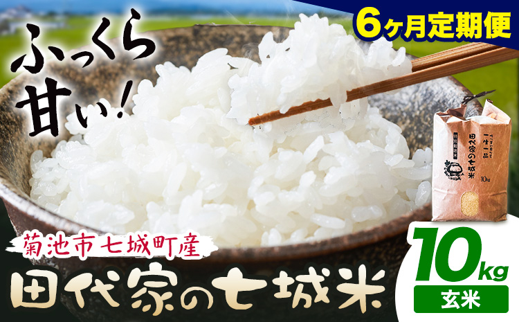 【6ヶ月定期便 】令和7年産 菊池市七城町産 田代家の七城米 七城ヒノヒカリ 玄米 10kg 田代こめや《お申込み翌月から出荷》熊本県 菊池市 米 お米 精米 ひのひかり 菊池市産 熊本県産 九州産 送料無料