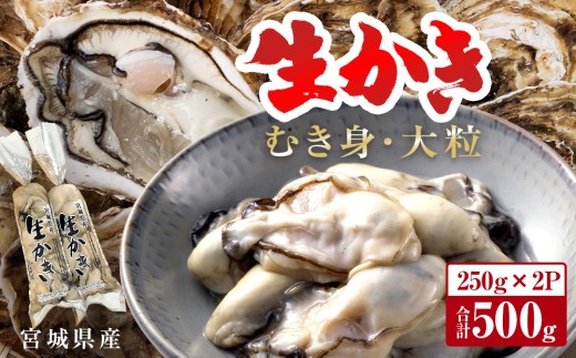 宮城県産生かきむき身 大粒 生牡蠣 生食 加熱 カキ 魚介 魚介類 海鮮