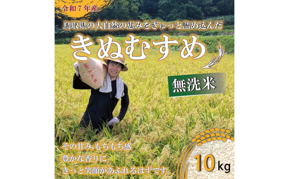 ＜令和7年産＞原田農園のきぬむすめ(無洗米・10kg) 【鳥取県 境港市】