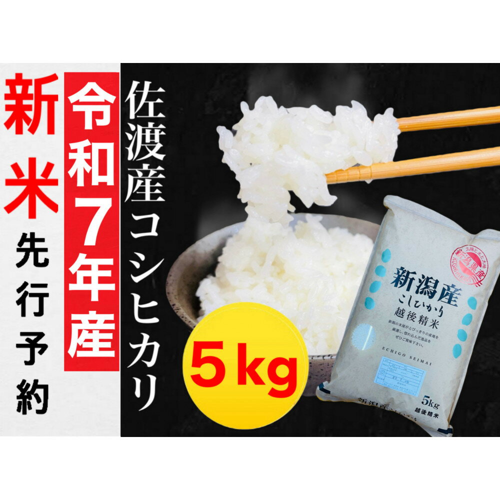 【ふるさと納税】【令和7年度産新米・先行予約】佐渡産コシヒカリ 5kg | お米 こめ 白米 食品 人気 おすすめ 送料無料