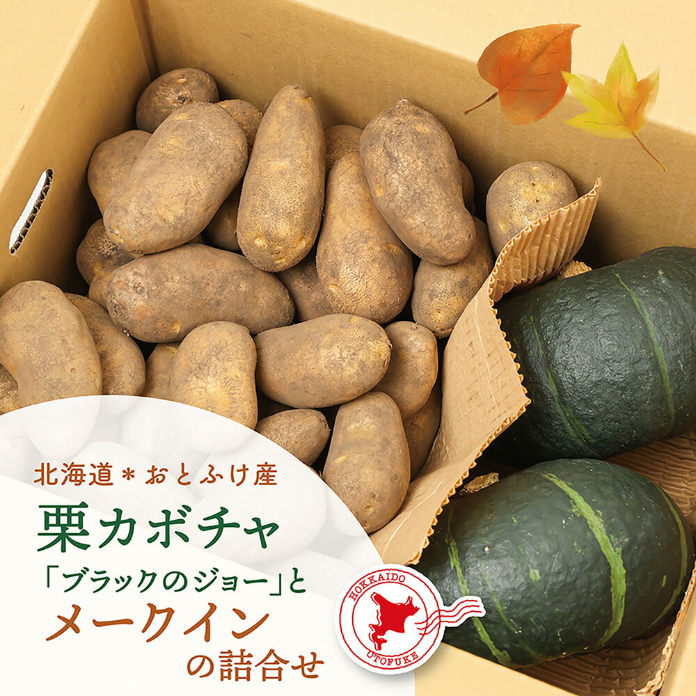 【ふるさと納税】【先行受付】北海道おとふけ産 栗カボチャ「ブラックのジョー」・じゃがいも「メークイン」の詰め合わせ 合計9kg【B74】【2025年10月下旬頃より発送予定】 ジャガイモ かぼちゃ 南瓜 芋 イモ おいも お芋 やさい 野菜 詰合せ セット 北海道 音更町 送料無料