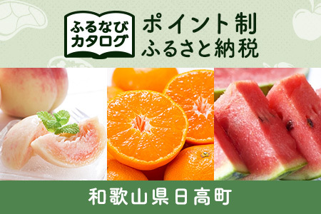 【有効期限なし！後からゆっくり特産品を選べる】和歌山県日高町カタログポイント