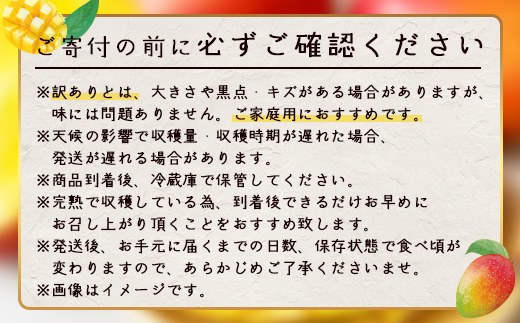 ≪マンゴー≫【訳あり】 ☆本土最南端☆佐多の果樹園で育てた 完熟アップルマンゴー1kg (2～3玉) 家庭用｜鹿児島県 南大隅 産地直送 旬 マンゴー フルーツ 果物 くだもの V7409
