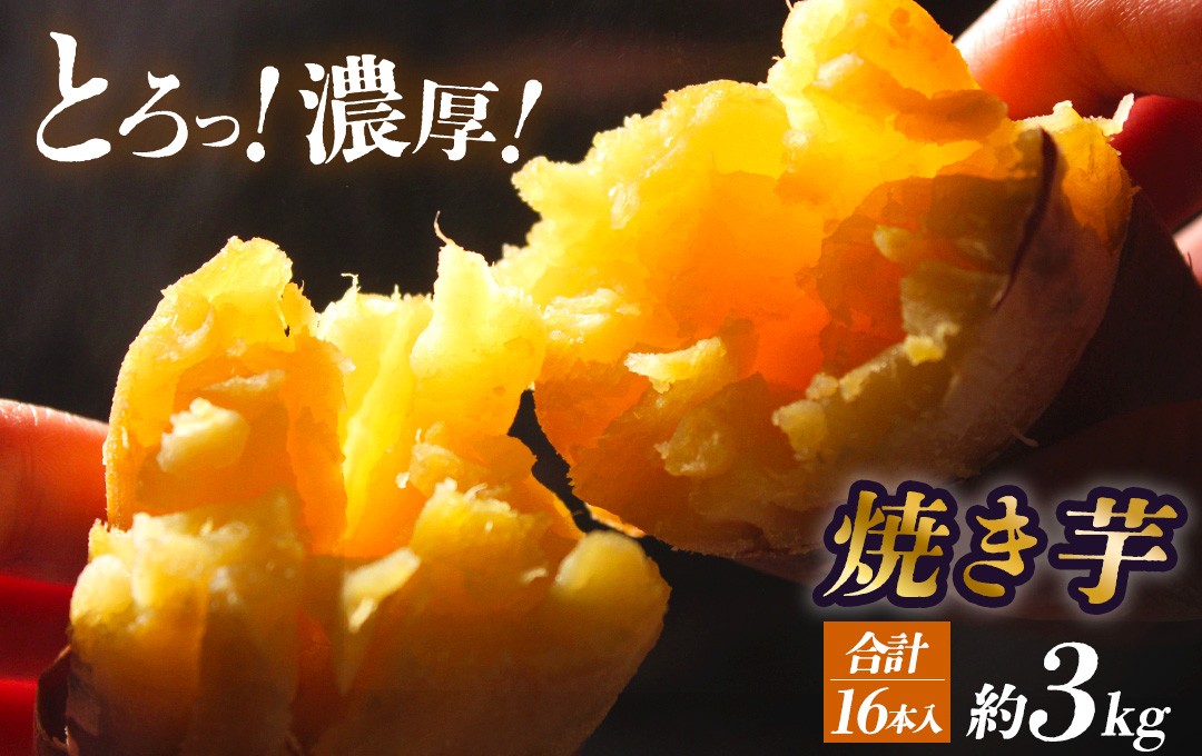 
                  焼き芋 3kg 16本入りパック　【 さつまいも サツマイモ さつま芋 焼き芋 やきいも 冷凍 冷凍焼き芋 おすすめ オススメ 湯の花 伊豆 静岡県 南伊豆町 】 <BC-300>
                