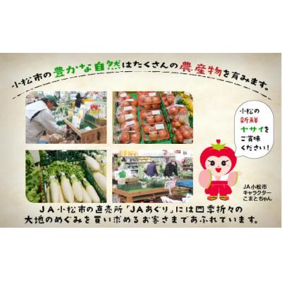 ふるさと納税 小松市 【12ヶ月定期便】小松市産季節の野菜詰め合わせ 定期便 JA小松 野菜定期便 |  | 02