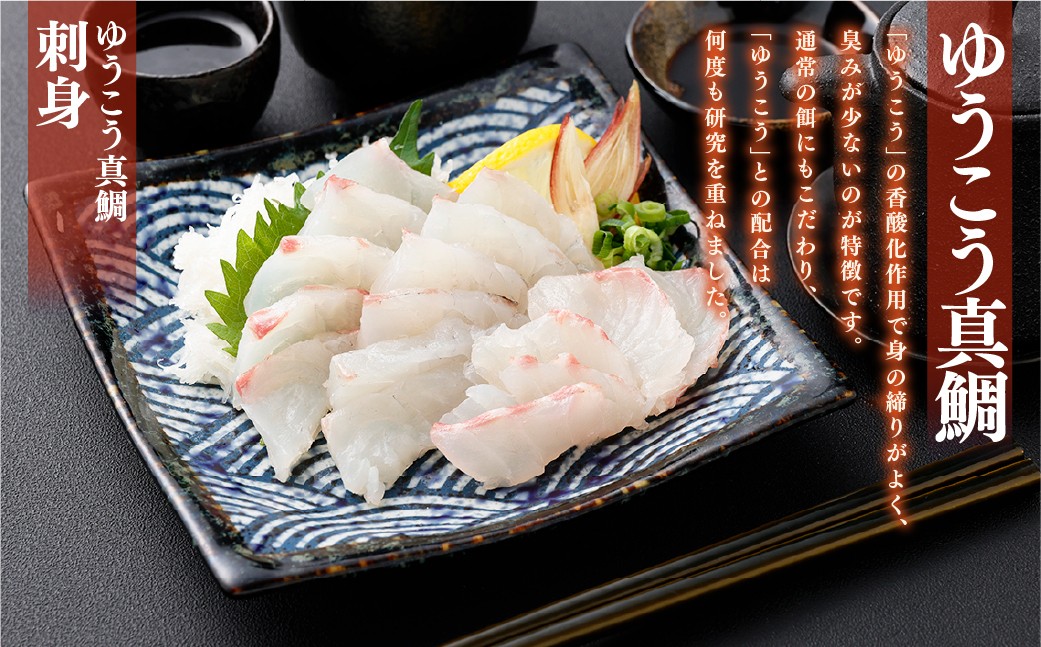 【premiumfishbrand】ゆうこうシマアジ、ゆうこう真鯛