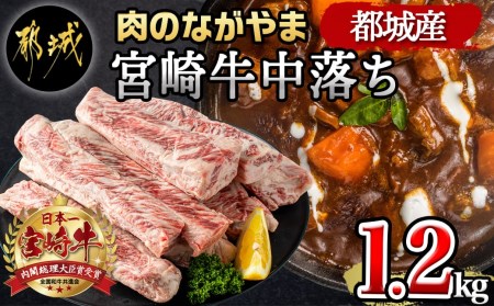 宮崎牛中落ち1.2kg_MJ-2509_(都城市) 宮崎県産宮崎牛 A4ランク以上 牛中落ち肉 600g 2パック 牛中落ちカルビ ゲタ 中バラ 国産 牛バラ肉 カレー おでん 煮込み料理