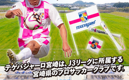 テゲバジャーロ宮崎　応援グッズ3点セット テゲバ 応援 グッズ