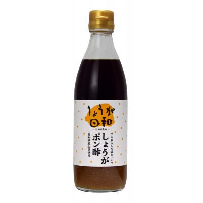 ふるさと納税 高知市 しょうがポン酢360ml×10本入り【BS010】