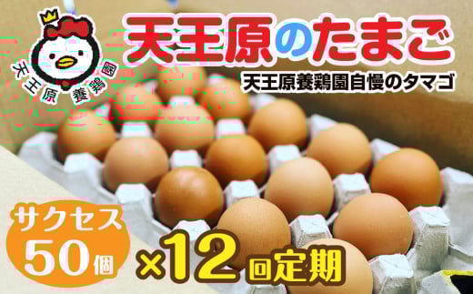 【定期便】12回定期【天王原のたまご】サクセス卵 50個入り【定期便 12回定期便 セット たまご 卵 玉子 タマゴ 濃厚  ハリ 弾力 ボリューム 甘味 旨味 卵黄 風味 生 コク 甘味 卵かけご飯 卵焼き 目玉焼き オムレツ 茶碗蒸し お菓子作り パンの材料】