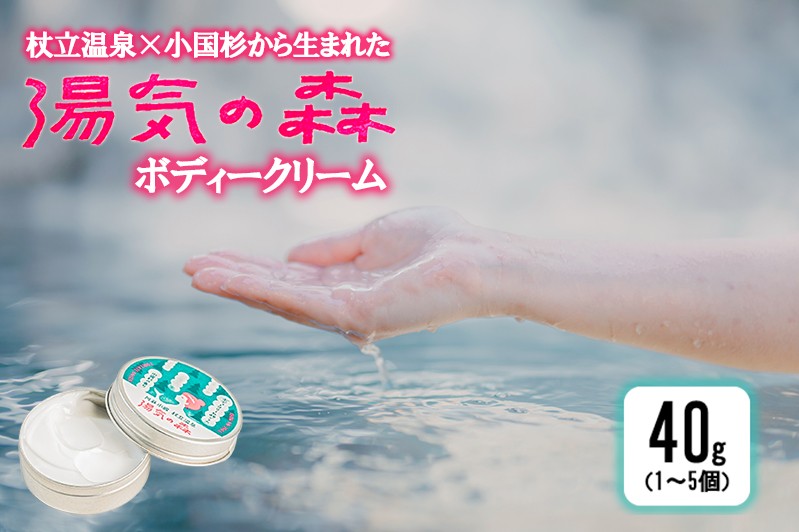 
                  【杖立温泉旅館組合】湯気の森 ボディークリーム 40g（1～5個）杖立温泉 小国杉 温泉成分 精油 地元素材 しっとり 滑らか 保湿 ボディクリーム 全身  企画開発 地場産品 ご自宅用 ギフト 贈答 贈り物 熊本 阿蘇 小国町
                