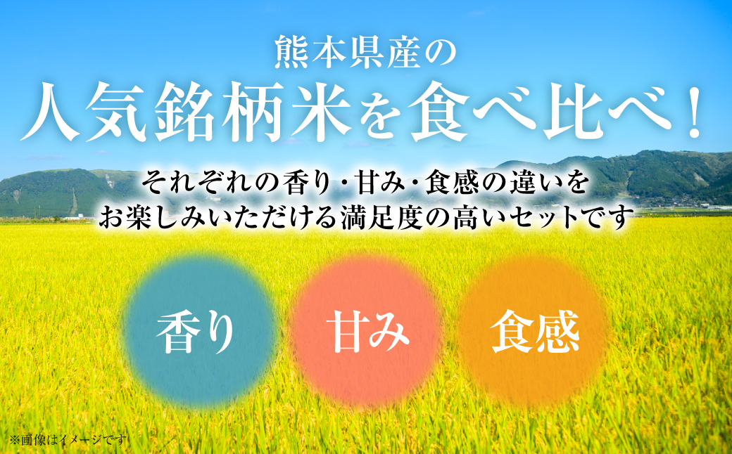 【令和7年産】 《新米》 熊本県産 食べ比べセット (ひのひかり・森のくまさん・くまさんの輝き) 合計15kg (5kg×3袋) 新米 米 お米 精米 白米 ごはん ご飯 熊本