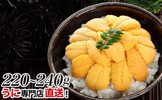 
                  B-24008  ムラサキウニ塩水パック110～120g×2P
                