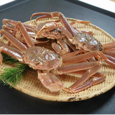 ふるさと納税 若桜町 【先行予約】鳥取県産　訳あり活松葉がに　2〜3枚で1.2kg以上(1〜4本足落ち)