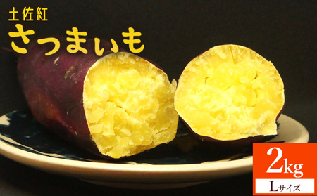 さつまいも(土佐紅) Lサイズ 2kg【さつまいも 野菜 さつまいも やさい さつまいも 芋 さつまいも 旬 さつまいも 国産 さつまいも おすすめ】 at-0004