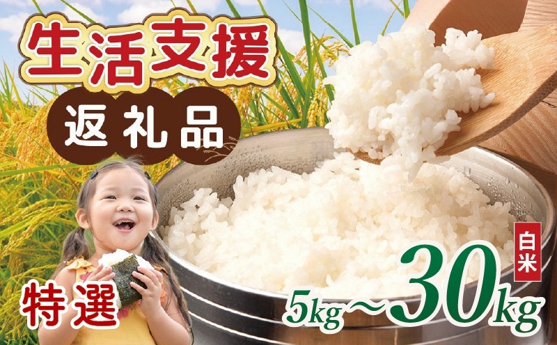 
                  【 訳あり 】 近江ブレンド米 特選 白米 5kg 10kg 20kg 30kg 国産 選べる 容量 複数原料米 生活応援米 近江 ブレンド米 生活支援米 米 お米 こめ ご飯 ごはん 精米 お弁当 フードロス 規格外 SDGs 送料無料 滋賀県 愛荘町
                