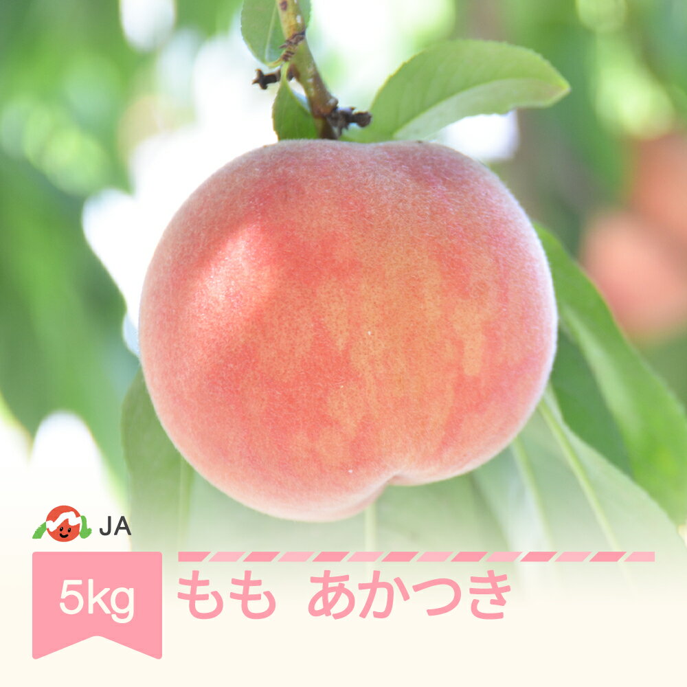 【ふるさと納税】先行予約 もも 桃 あかつき 約5kg 令和7年産 2025年産 果物 送料無料