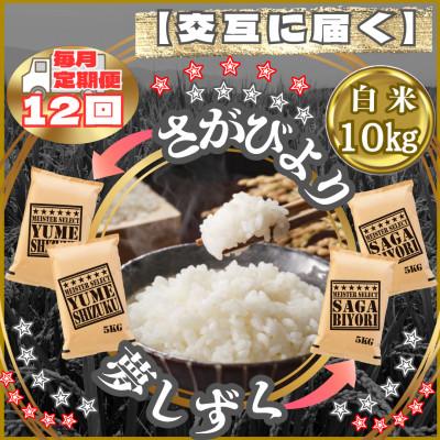 ふるさと納税 江北町 【毎月定期便】食べ比べ白米10kg(さがびより・夢しずく)(江北町)全12回