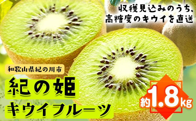 
                  【先行予約】紀の姫キウイフルーツ約1.8kg【サイズお任せ/秀品】 紀の川市厳選館 《2027年1月中旬-3月末頃出荷》 和歌山県 紀の川市 果物 フルーツ キウイ 紀の姫 
                