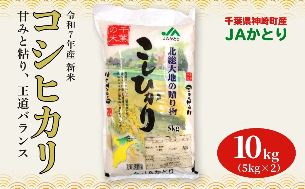JAかとり直送 コシヒカリ 精米10kg（5kg×2）千葉県産 令和7年産 神崎町【千葉県神崎町ふるさと納税】