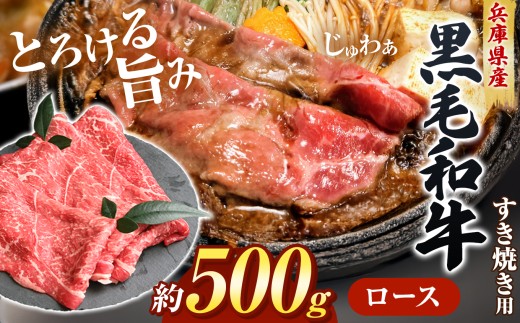 【牧場直売店】兵庫県産黒毛和牛 すき焼き用ロース 500g | とろける 上質 霜降り すき焼き用ロース ロース 和牛ロース 500g すき焼き すき焼き用肉 牛肉 肉 黒毛和牛 国産 和牛 兵庫県産 牧場直売 直営牧場 こだわり 手作業 高級 旨み おいしい グルメ 兵庫県 上郡町