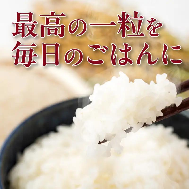 【令和８年産 先行予約】コシヒカリ（精米）15kg（11月発送）（3573）