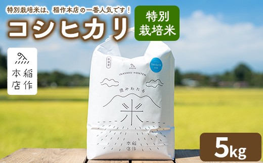 【令和7年産】特別栽培米 コシヒカリ 5kg 〔P-288〕 | こしひかり 米 お米 コメ こめ 精米 濃厚 甘い 国産 那須 栃木県 那須町 ※2025年10月下旬頃より順次発送予定