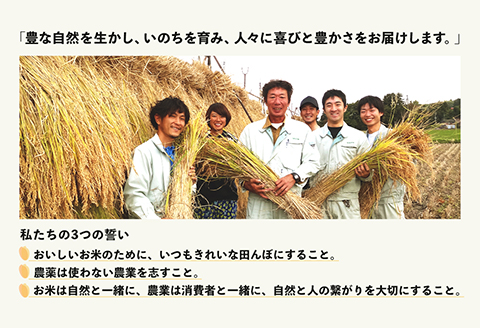 48-6R051【無洗米】新潟県長岡産「新之助」5kg