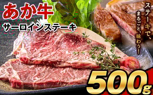 あか牛（褐毛和牛） サーロイン ステーキ 500g 牛肉 冷凍《7月中旬-8月中旬頃出荷予定》ふるさと納税