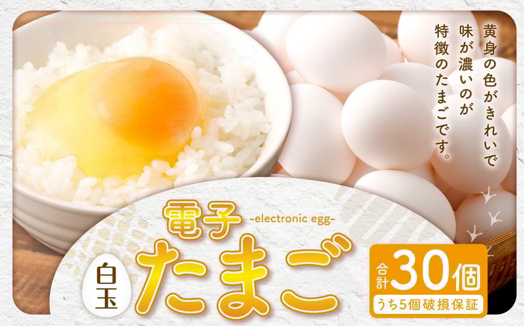 
                  【2026年先行予約】電子たまご（白玉） 30個 卵 たまご 白 白玉 ZS-534
                