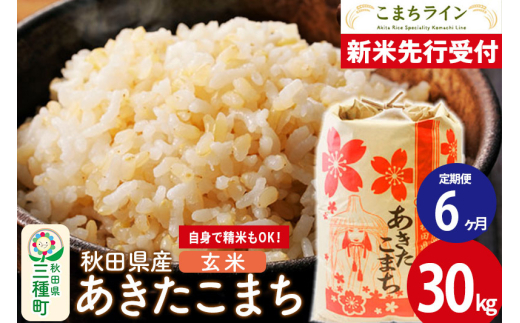 《新米先行受付》《定期便6ヶ月》【玄米】あきたこまち 30kg 秋田県産 令和7年産  こまちライン