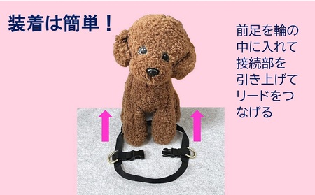 トイプードル向けハーネス＆リード(カラー：紺緑紺)【001-018-5】