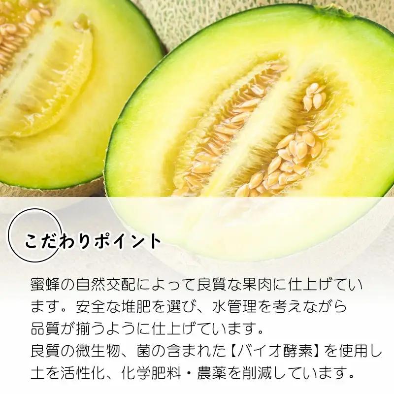 【令和9年産】 アンデスメロン 約5kg(3～5玉) 山形県鶴岡産 庄内砂丘メロン 白砂ファーム