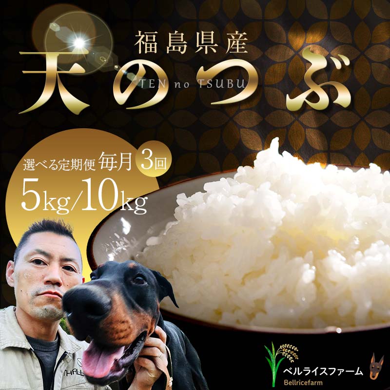 【ふるさと納税】 《選べる容量》 【お米の定期便 2026年2月より毎月3か月配送】農家直送 天のつぶ 無洗米 5kg/10kg 全3回 F6U-188var