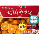 【ふるさと納税】年内発送 ちょっと 傷あり 完熟早生 有田みかん 大玉 2L または L サイズ 5kg 和歌山 南泰園