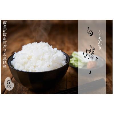 ふるさと納税 南魚沼市 【令和7年産新米】南魚沼君沢産こしひかり　白燦々5kg【玄米】(従来品種)