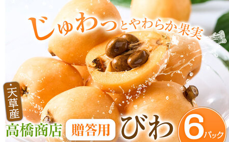 天草産 びわ 6パック 贈答用 高橋商店《5月中旬-6月中旬頃出荷》フルーツ びわ 果物