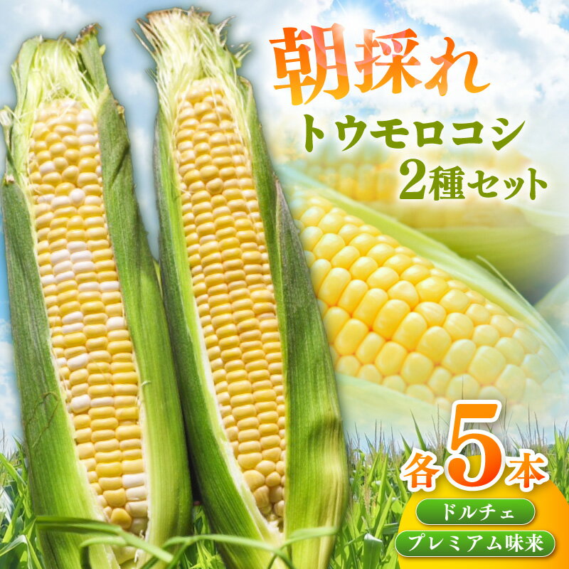 【ふるさと納税】朝採れ！とうもろこし2種セット【プレミアム味来＆ドルチェ：各5本】計10本 夜明け前に収穫したとうもろこしを高鮮度のままお届け！ 高品質トウモロコシ 野菜 農作物 おやつ お取り寄せ グルメ 愛知県 西尾市《受付期間：2026年6月30日まで》 S101