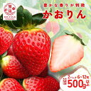 【ふるさと納税】埼玉生まれの希少いちご『かおりん』2パック（計500g以上）