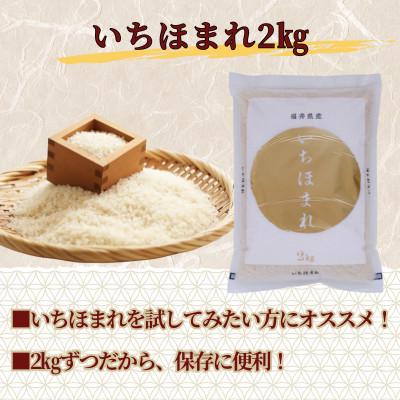ふるさと納税 小浜市 福井県産いちほまれ　精米　2kg×2袋(合計4kg)福井県生まれのブランド米 |  | 02